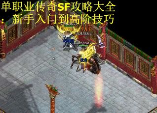 单职业传奇SF攻略大全：新手入门到高阶技巧