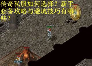 传奇私服如何选择？新手必备攻略与避坑技巧有哪些？