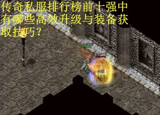 传奇私服排行榜前十强中有哪些高效升级与装备获取技巧？