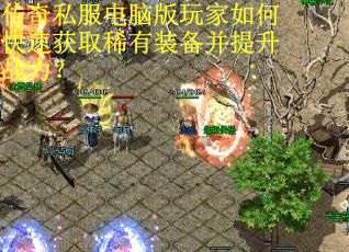 传奇私服电脑版玩家如何快速获取稀有装备并提升战力？