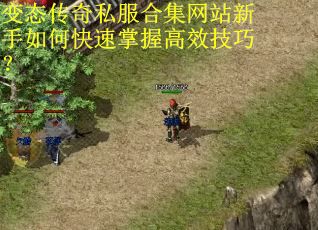 变态传奇私服合集网站新手如何快速掌握高效技巧? 变态传奇私服合集网站新手如何快速掌握高效技巧?