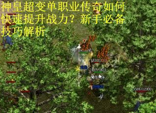 神皇超变单职业传奇如何快速提升战力？新手必备技巧解析