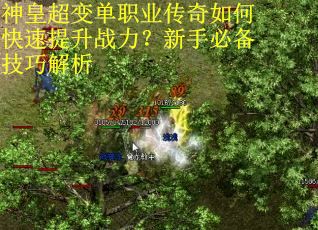 神皇超变单职业传奇如何快速提升战力？新手必备技巧解析