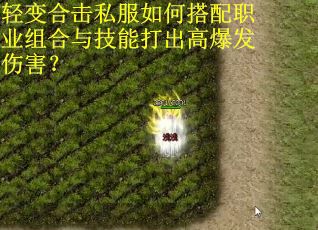 轻变合击私服如何搭配职业组合与技能打出高爆发伤害? 轻变合击私服如何搭配职业组合与技能打出高爆发伤害?