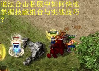 道法合击私服中如何快速掌握技能组合与实战技巧？