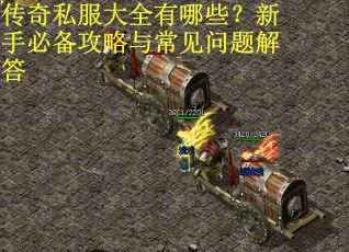 传奇私服大全有哪些？新手必备攻略与常见问题解答