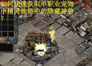 如何快速获取单职业宠物小精灵传奇中的隐藏神兽？