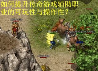 如何提升传奇游戏辅助职业的可玩性与操作性？