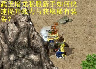 武圣屠龙私服新手如何快速提升战力与获取稀有装备？