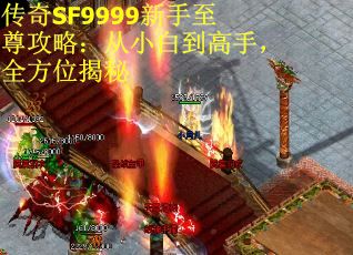 传奇SF9999新手至尊攻略：从小白到高手，全方位揭秘