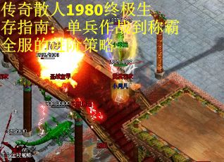 传奇散人1980终极生存指南：单兵作战到称霸全服的进阶策略