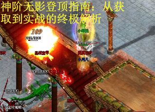 神阶无影登顶指南：从获取到实战的终极解析