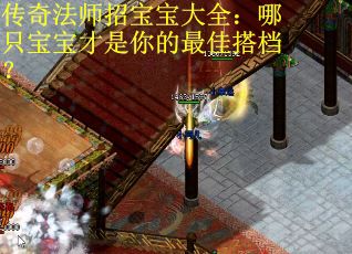 传奇法师招宝宝大全：哪只宝宝才是你的最佳搭档？