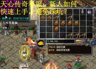 天心传奇私服：新人如何快速上手，避免踩坑？