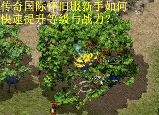 传奇国际怀旧服新手如何快速提升等级与战力？