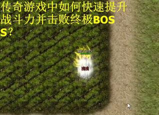 传奇游戏中如何快速提升战斗力并击败终极BOSS？