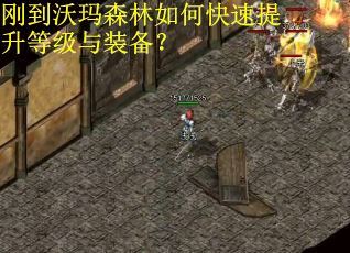 刚到沃玛森林如何快速提升等级与装备？