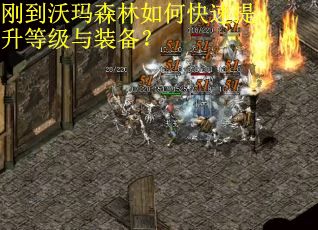 刚到沃玛森林如何快速提升等级与装备？